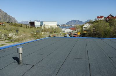 Asphalt Roof Inspection detail
